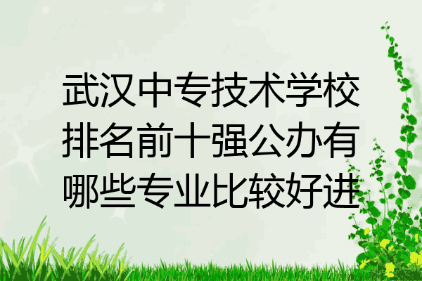 武汉中专技术学校排名前十强公办有哪些专业比较好进