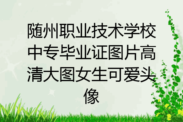 随州职业技术学校中专毕业证图片高清大图女生可爱头像