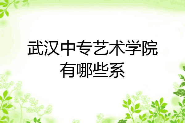 武汉中专艺术学院有哪些系