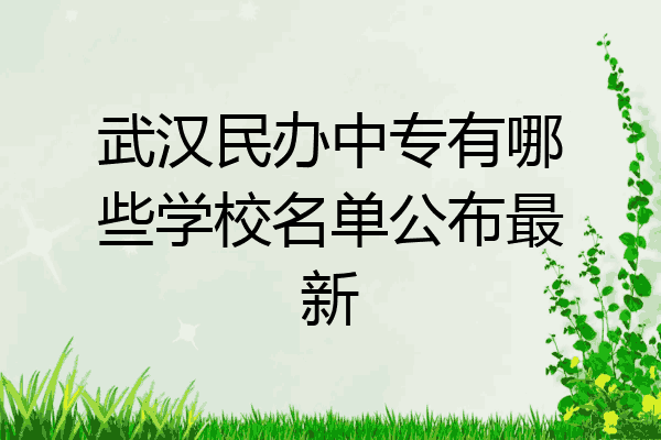 武汉民办中专有哪些学校名单公布最新