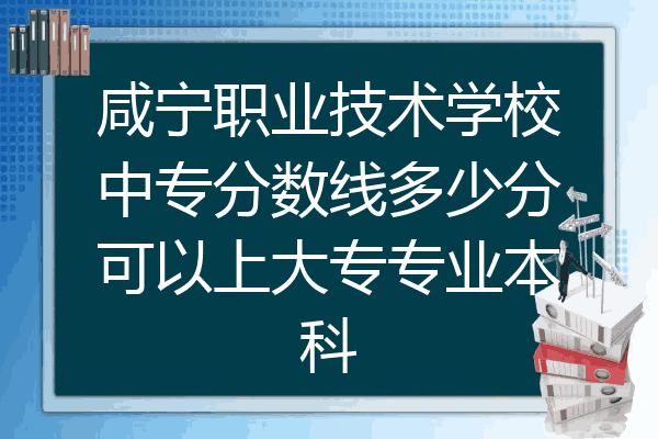 咸宁职业技术学校中专分数线多少分可以上大专专业本科