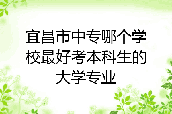 宜昌市中专哪个学校最好考本科生的大学专业