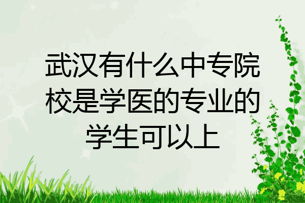 武汉有什么中专院校是学医的专业的学生可以上