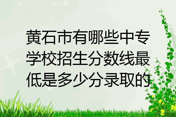 黄石市有哪些中专学校招生分数线最低是多少分录取的