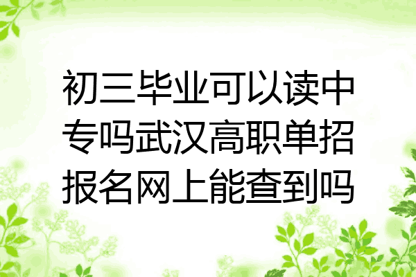 初三毕业可以读中专吗武汉高职单招报名网上能查到吗