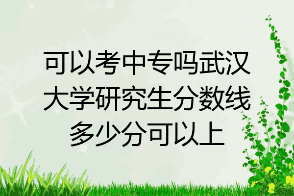 可以考中专吗武汉大学研究生分数线多少分可以上