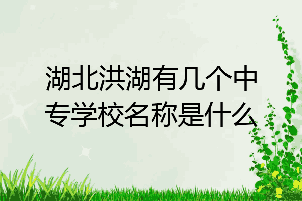 湖北洪湖有几个中专学校名称是什么