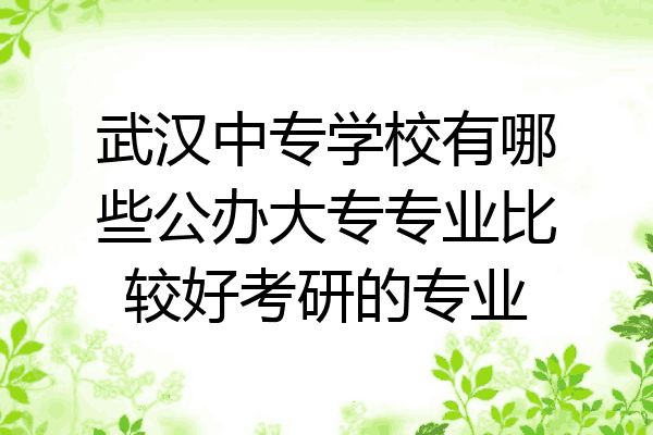 武汉中专学校有哪些公办大专专业比较好考研的专业