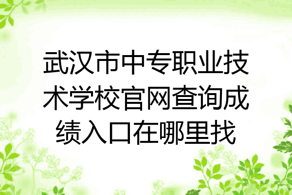 武汉市中专职业技术学校官网查询成绩入口在哪里找