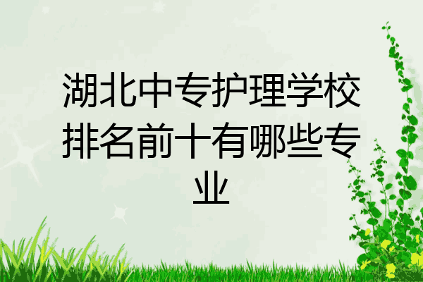 湖北中专护理学校排名前十有哪些专业