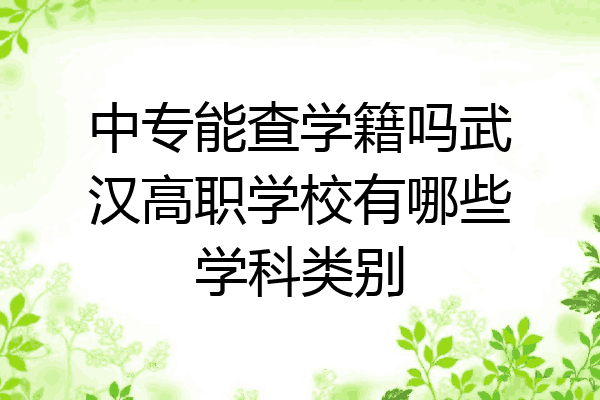 中专能查学籍吗武汉高职学校有哪些学科类别