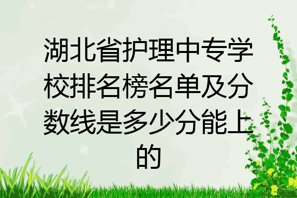 湖北省护理中专学校排名榜名单及分数线是多少分能上的