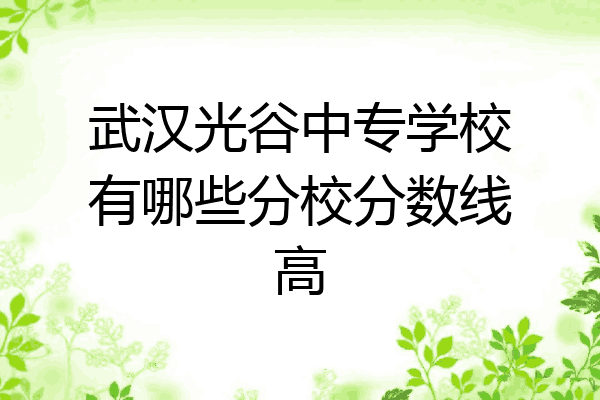 武汉光谷中专学校有哪些分校分数线高