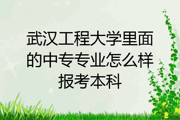 武汉工程大学里面的中专专业怎么样报考本科