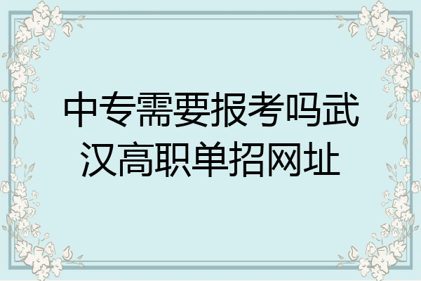 中专需要报考吗武汉高职单招网址