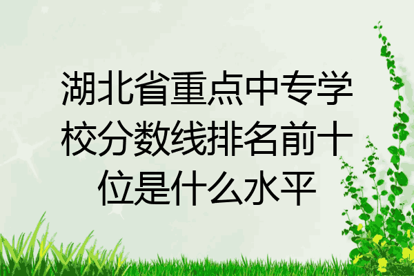 湖北省重点中专学校分数线排名前十位是什么水平