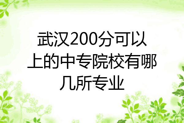 武汉200分可以上的中专院校有哪几所专业