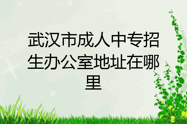 武汉市成人中专招生办公室地址在哪里