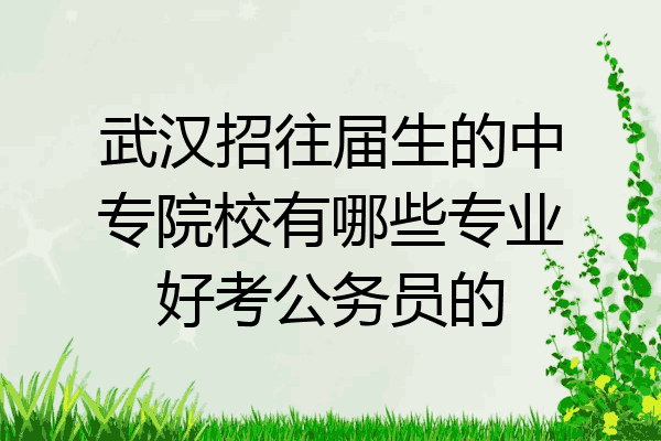 武汉招往届生的中专院校有哪些专业好考公务员的