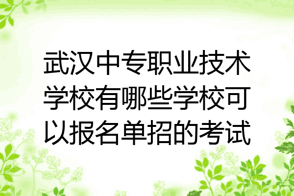 武汉中专职业技术学校有哪些学校可以报名单招的考试