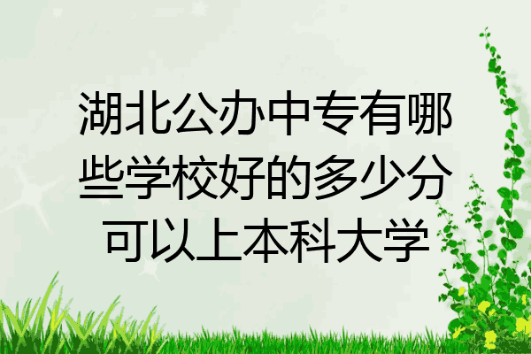 湖北公办中专有哪些学校好的多少分可以上本科大学
