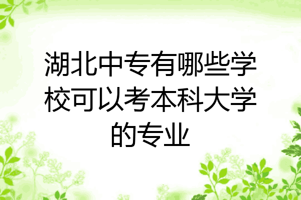 湖北中专有哪些学校可以考本科大学的专业