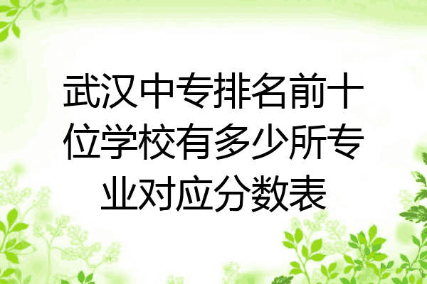 武汉中专排名前十位学校有多少所专业对应分数表