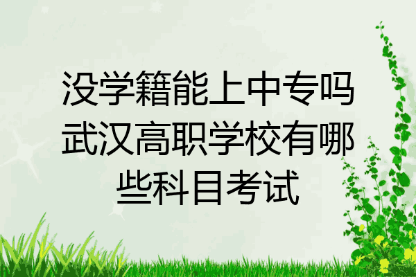 没学籍能上中专吗武汉高职学校有哪些科目考试