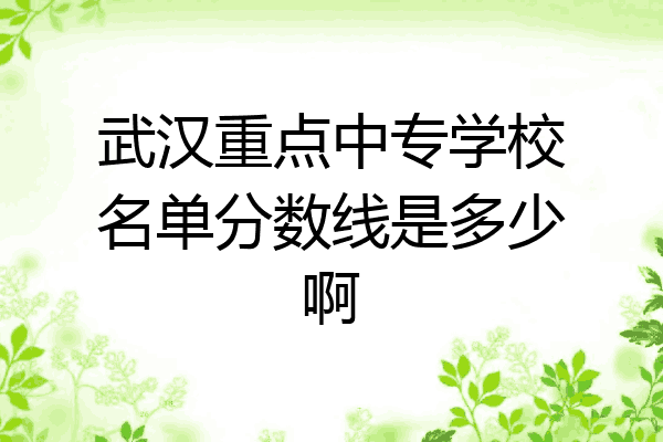 武汉重点中专学校名单分数线是多少啊