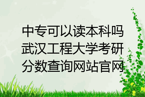 中专可以读本科吗武汉工程大学考研分数查询网站官网
