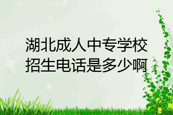 湖北成人中专学校招生电话是多少啊