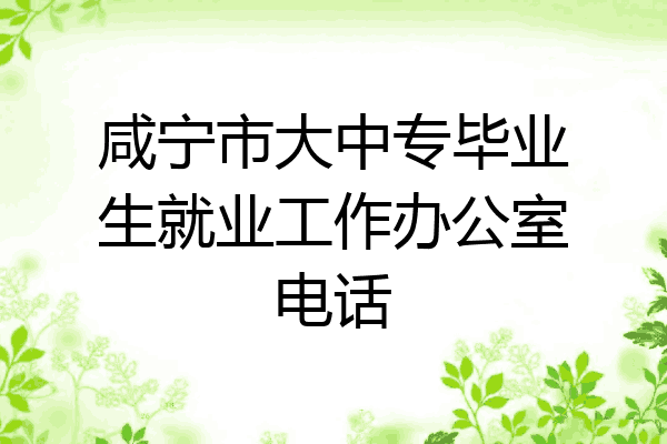 咸宁市大中专毕业生就业工作办公室电话
