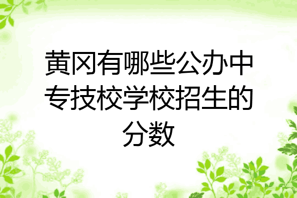 黄冈有哪些公办中专技校学校招生的分数