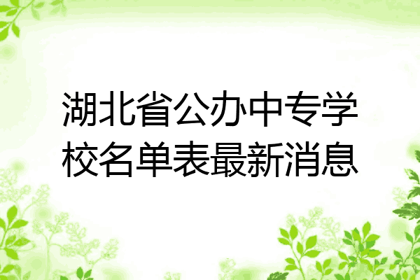 湖北省公办中专学校名单表最新消息