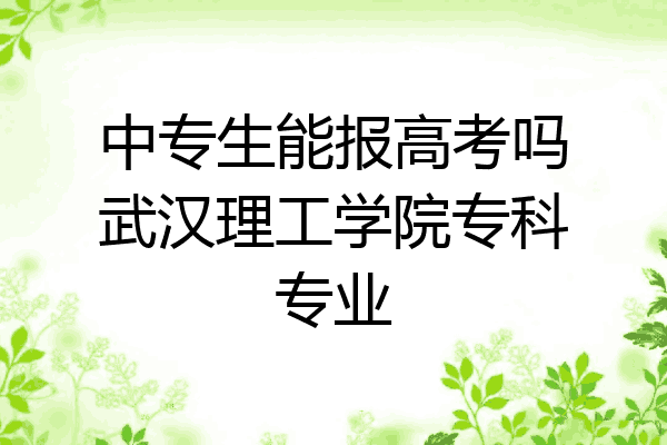 中专生能报高考吗武汉理工学院专科专业