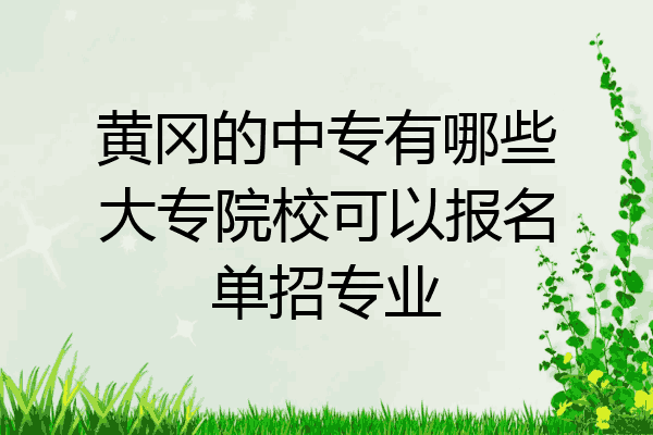 黄冈的中专有哪些大专院校可以报名单招专业