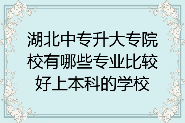 湖北中专升大专院校有哪些专业比较好上本科的学校