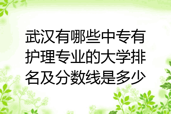 武汉有哪些中专有护理专业的大学排名及分数线是多少