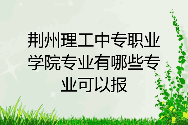 荆州理工中专职业学院专业有哪些专业可以报
