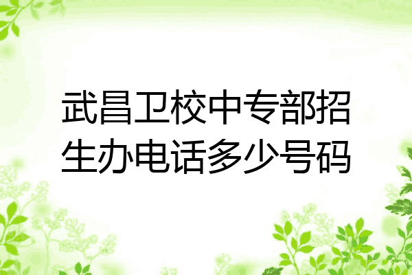 武昌卫校中专部招生办电话多少号码