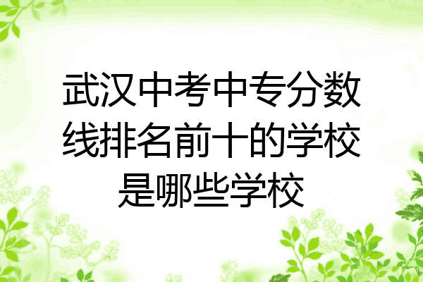 武汉中考中专分数线排名前十的学校是哪些学校