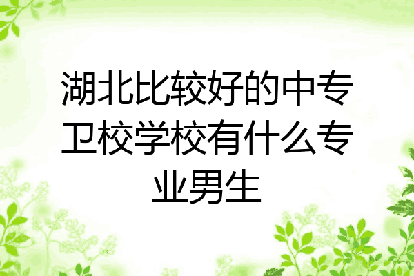 湖北比较好的中专卫校学校有什么专业男生