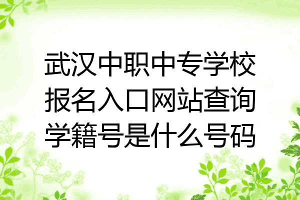 武汉中职中专学校报名入口网站查询学籍号是什么号码