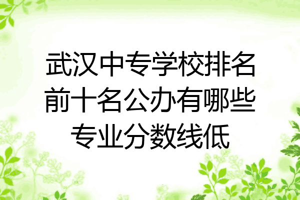 武汉中专学校排名前十名公办有哪些专业分数线低