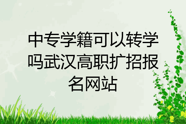中专学籍可以转学吗武汉高职扩招报名网站