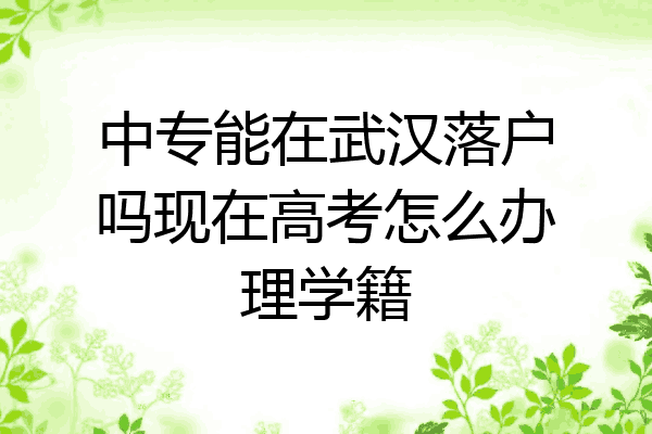 中专能在武汉落户吗现在高考怎么办理学籍