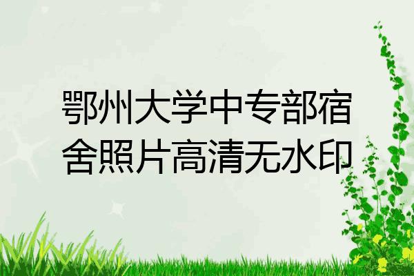 鄂州大学中专部宿舍照片高清无水印