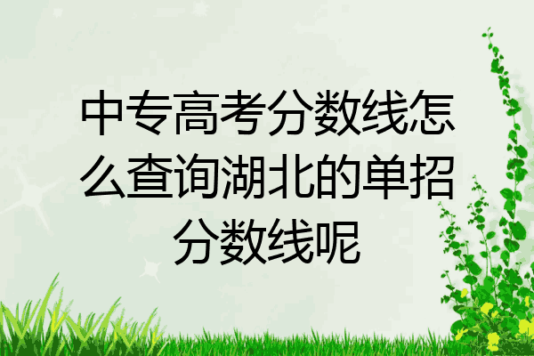 中专高考分数线怎么查询湖北的单招分数线呢