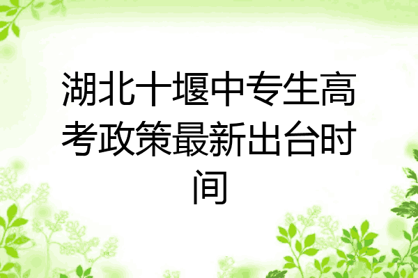湖北十堰中专生高考政策最新出台时间