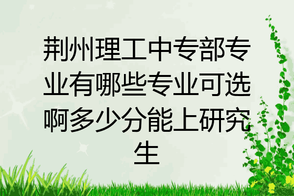 荆州理工中专部专业有哪些专业可选啊多少分能上研究生